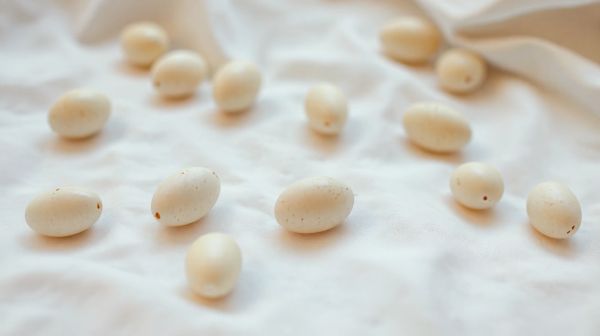 Top méthodes pour identifier les œufs de punaises de lit